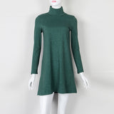 New Fashion Autumn Winter Dress Turtleneck Long Sleeve Loose Casual Dress New Solid Dress Women A-Line Robe Plus Size GV160