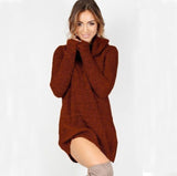 Womens Cowl Neck Loose Long Sleeve Oversize Sweater Dress Casual Ladies Fashion New Stylish Warm Knitting Dress
